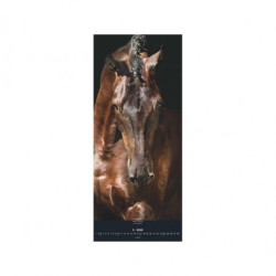 Beautiful Horses 2025 - Foto-Kalender - Wand-Kalender - 30x70